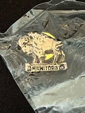 Manitoba Buffalo Metal Lapel Pin